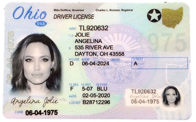 Fake Driving License - Ohio